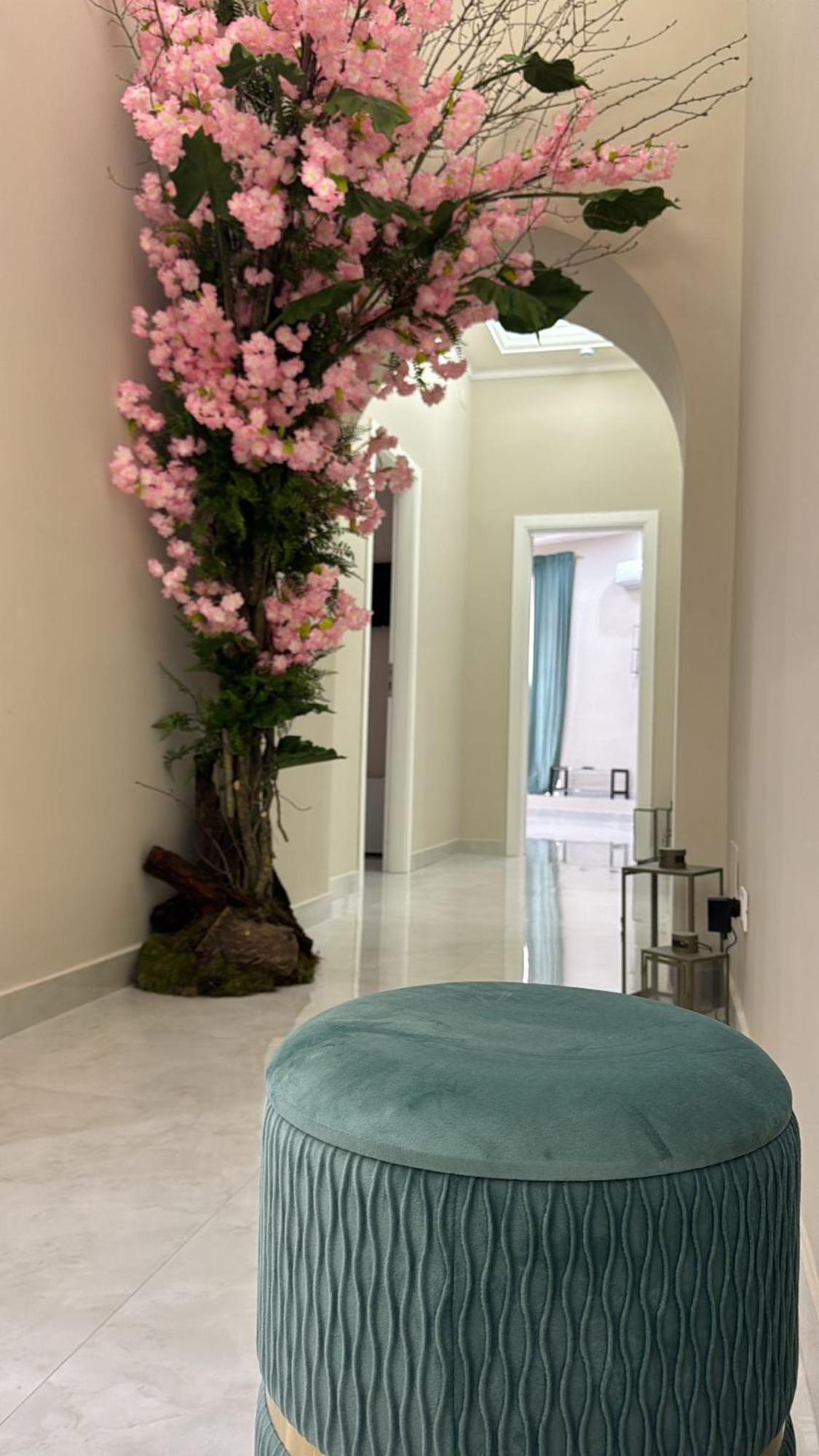 Royal Dream Bed and Breakfast Napoli Eksteriør billede